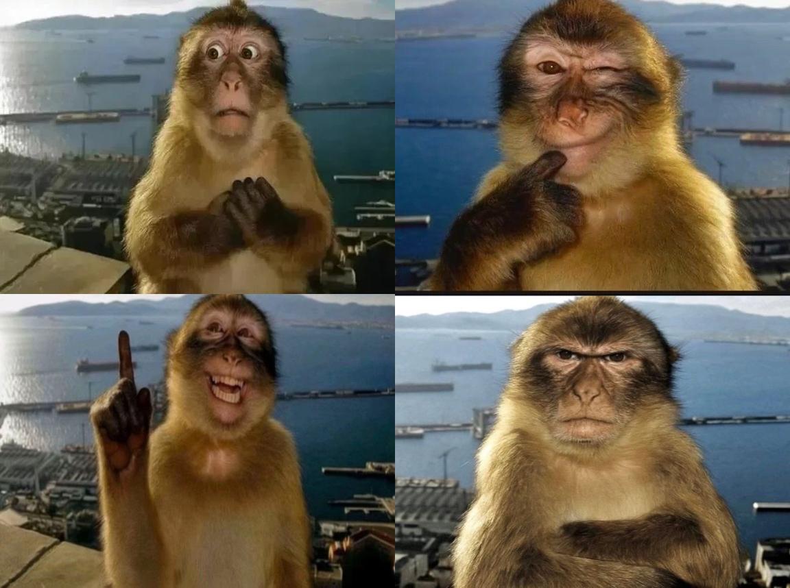 gmonad

potential feelings for the next 18 days😳🤔😁😤