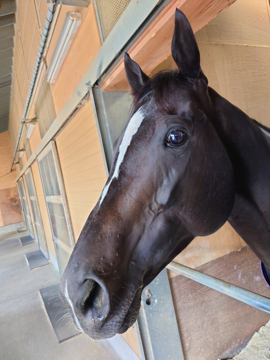 𝑪𝒐𝒍𝒐𝒖𝒓𝒇𝒖𝒍 𝑻𝒆𝒄𝒉𝒏𝒐 ♋ on X