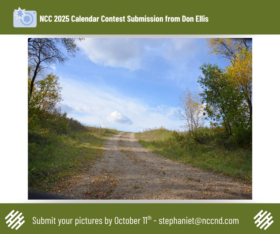 NCCRay's tweet photo. Would you take a look at these!! 😍

🤩Don Ellis sent in too many great photos I just couldn't pick! 🤩

Don't forget to send in your pictures for a chance to be in the NCC 2026 Calendar Contest!!

#TeamNCC #NCCCalendarContest #NDPhotos https://t.co/qyHVv56zzZ