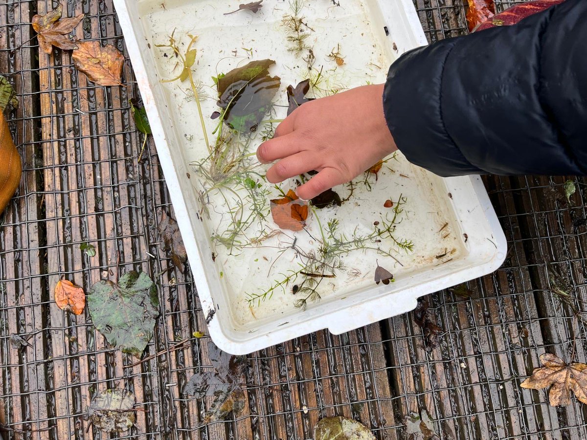 All Saints' NW2 tweet media