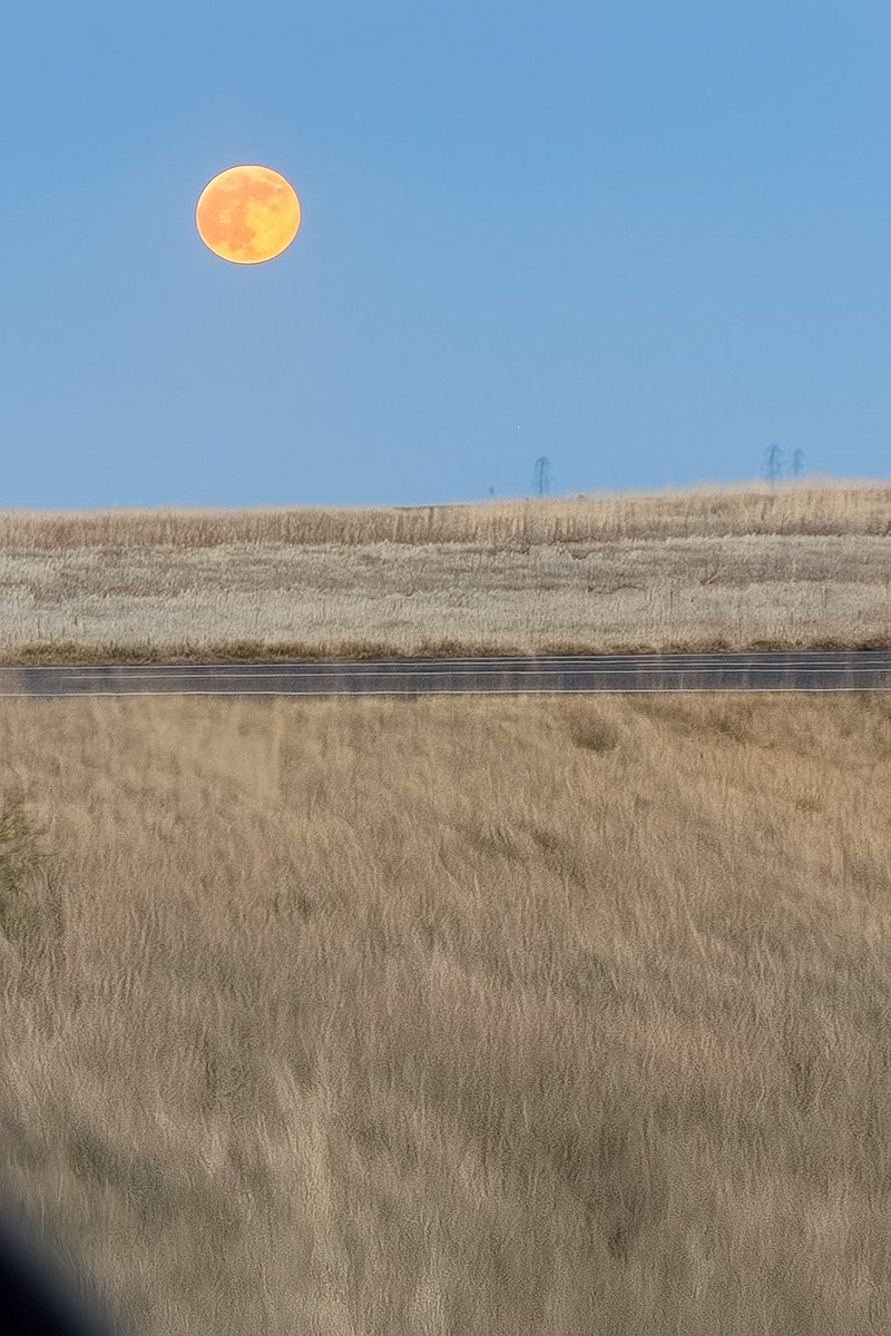 The #BeaverMoon rising over the high plains last evening...spectacular! #cowx 

<a href="/BianchiWeather/">Chris Bianchi</a>