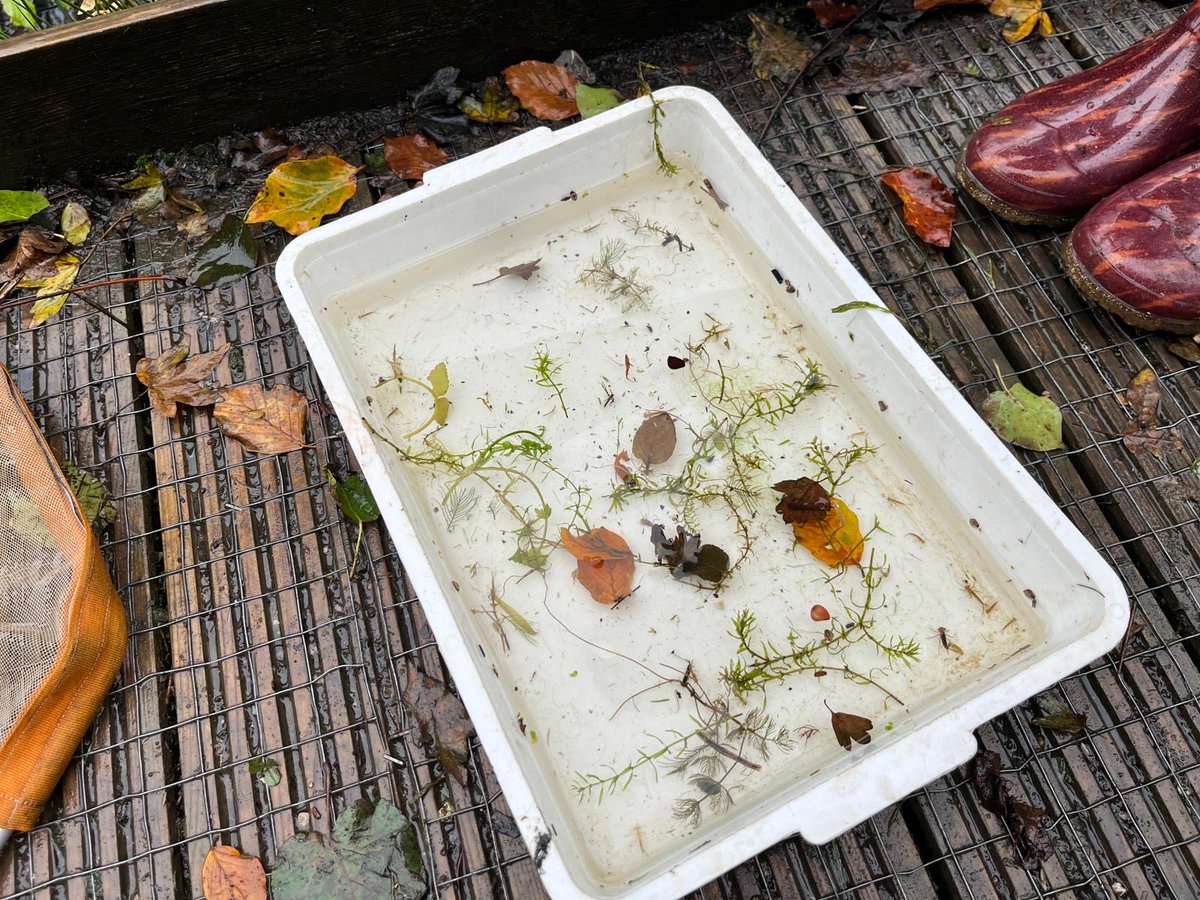 All Saints' NW2 tweet media