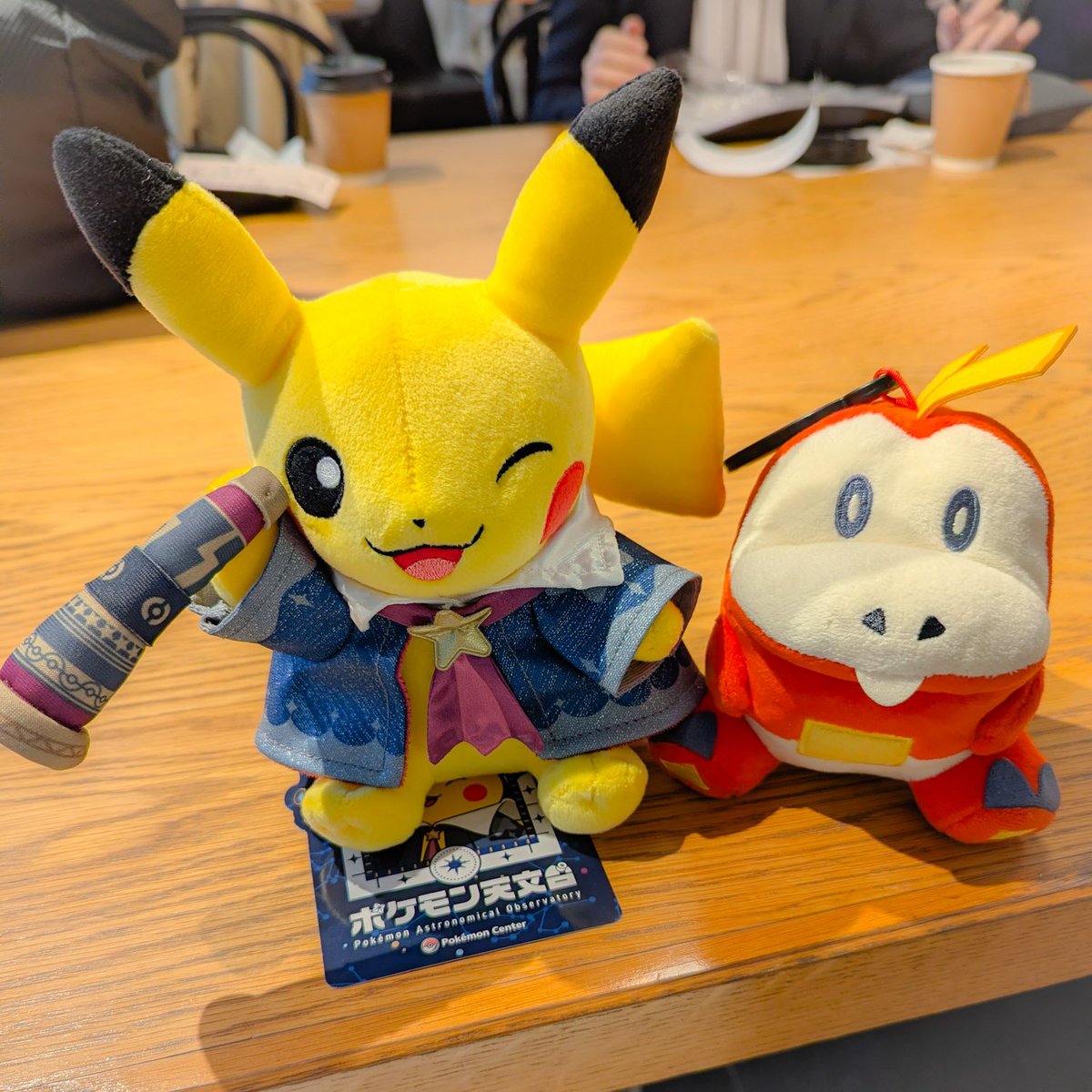 ほしぞらピカチュウさん、ホゲータだよ