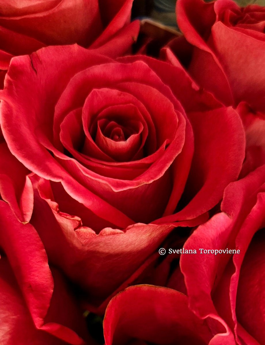 LanaToro21's tweet image. #Photobyme📷 #MyThoughts 
#MyExperience

In life the only people who matter are those who constantly want to know how you are, where you are, &amp;amp; if everything is okay with you ❤️

And others...others are simply accidentally met strangers...