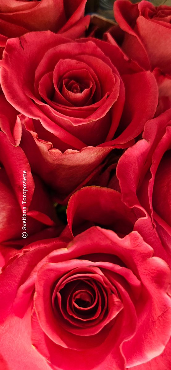 LanaToro21's tweet image. #Photobyme📷 #MyThoughts 
#MyExperience

In life the only people who matter are those who constantly want to know how you are, where you are, &amp;amp; if everything is okay with you ❤️

And others...others are simply accidentally met strangers...