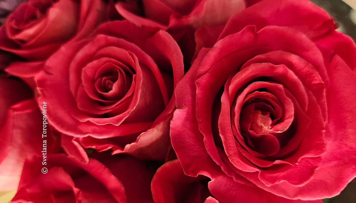 LanaToro21's tweet image. #Photobyme📷 #MyThoughts 
#MyExperience

In life the only people who matter are those who constantly want to know how you are, where you are, &amp;amp; if everything is okay with you ❤️

And others...others are simply accidentally met strangers...