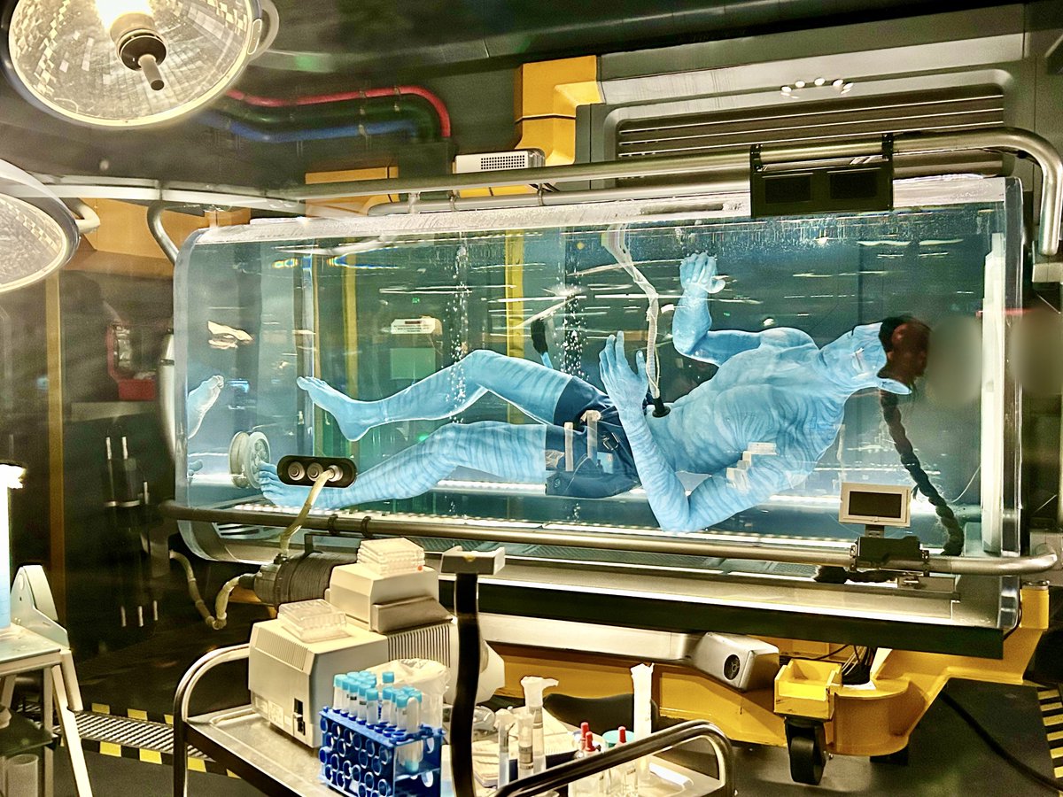 ピグレット🐷 (@pigletniaitai) / Posts / X