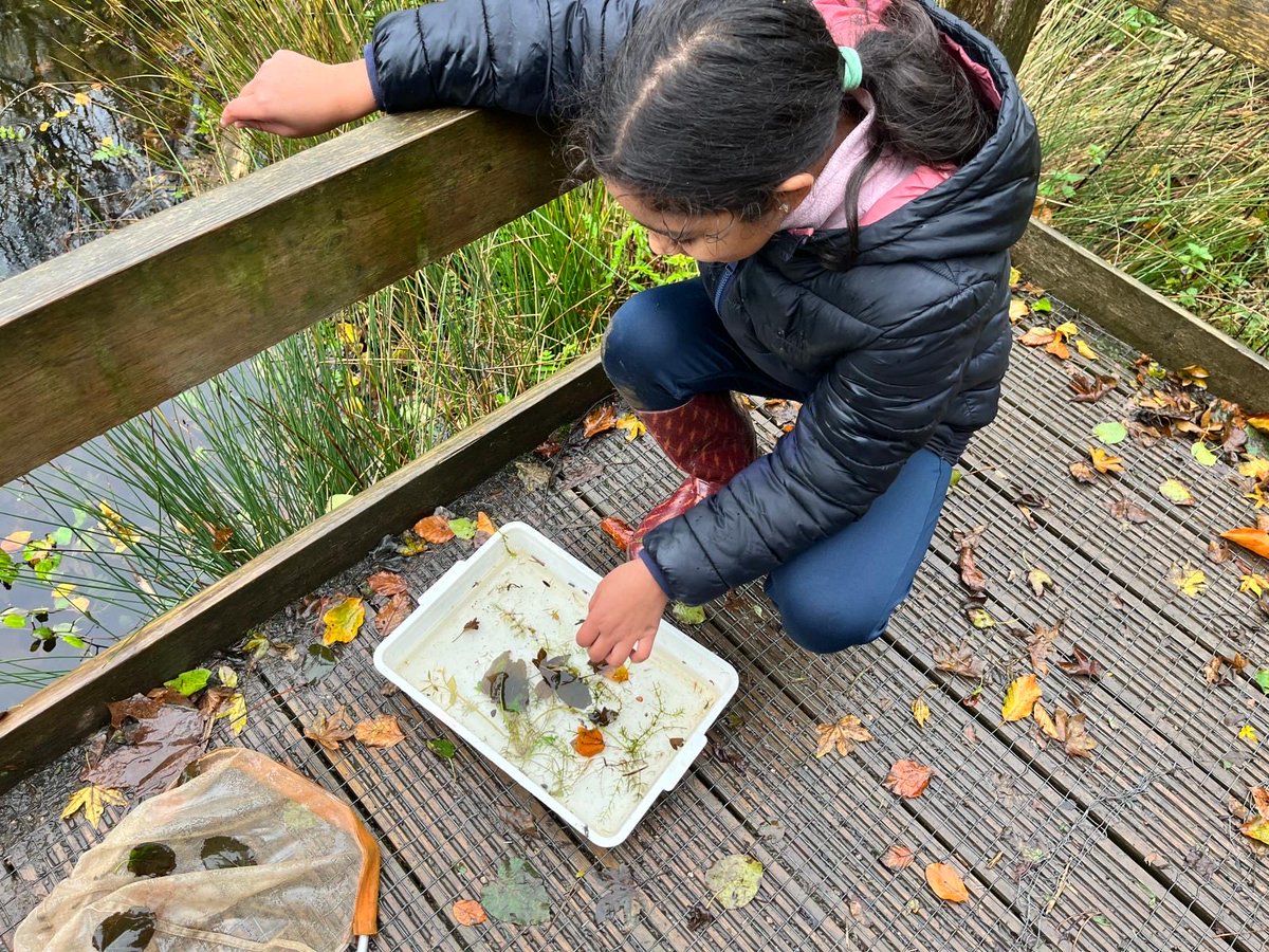 All Saints' NW2 tweet media