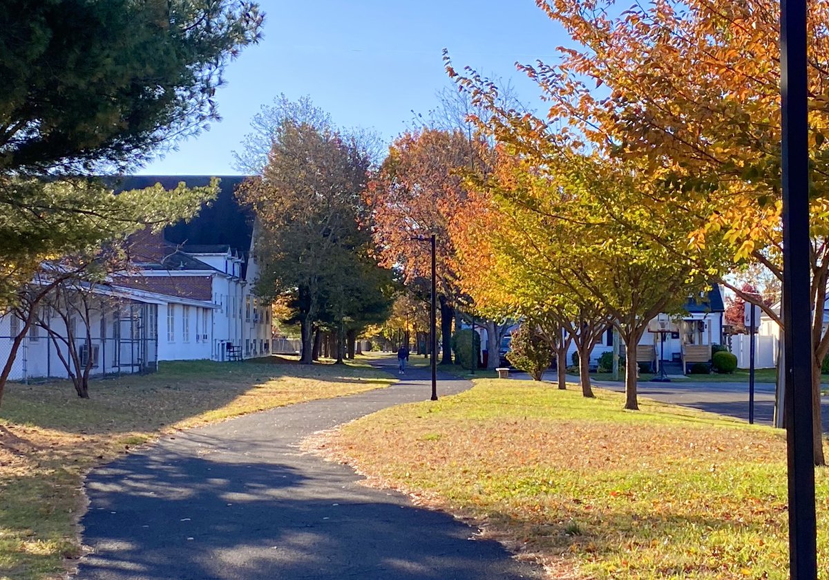 Morning walk, got much warmer once the sun came out.