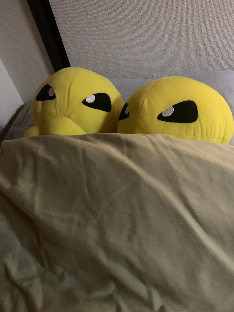 しのちゃん（12/20(土)清く、正しく、面白くvol.2開催） on X