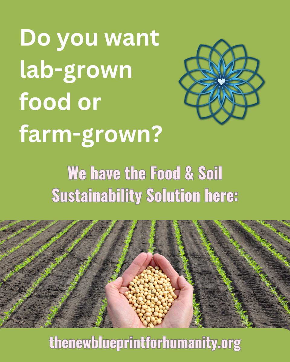 newblueprint111's tweet image. #tnbpfh #food #solutions #changetheworld for the benefit of the people
thenewblueprintforhumanity.org