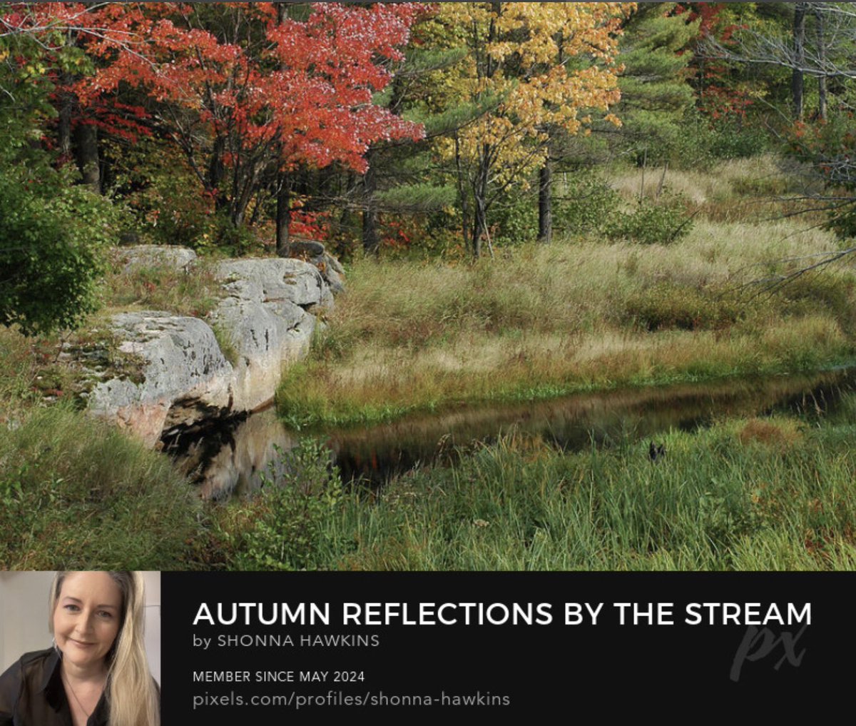 shonna99784's tweet image. Autumn Reflections by The Stream by Shonna Hawkins pixels.com/featured/autum…

Description
A serene stream flows quietly beside a grassy meadow, framed by vibrant autumn trees in shades of red, orange, and yellow. A rust-col…..

#AutumnReflections #Rock #Stream #Leaves #BuyIntoArt