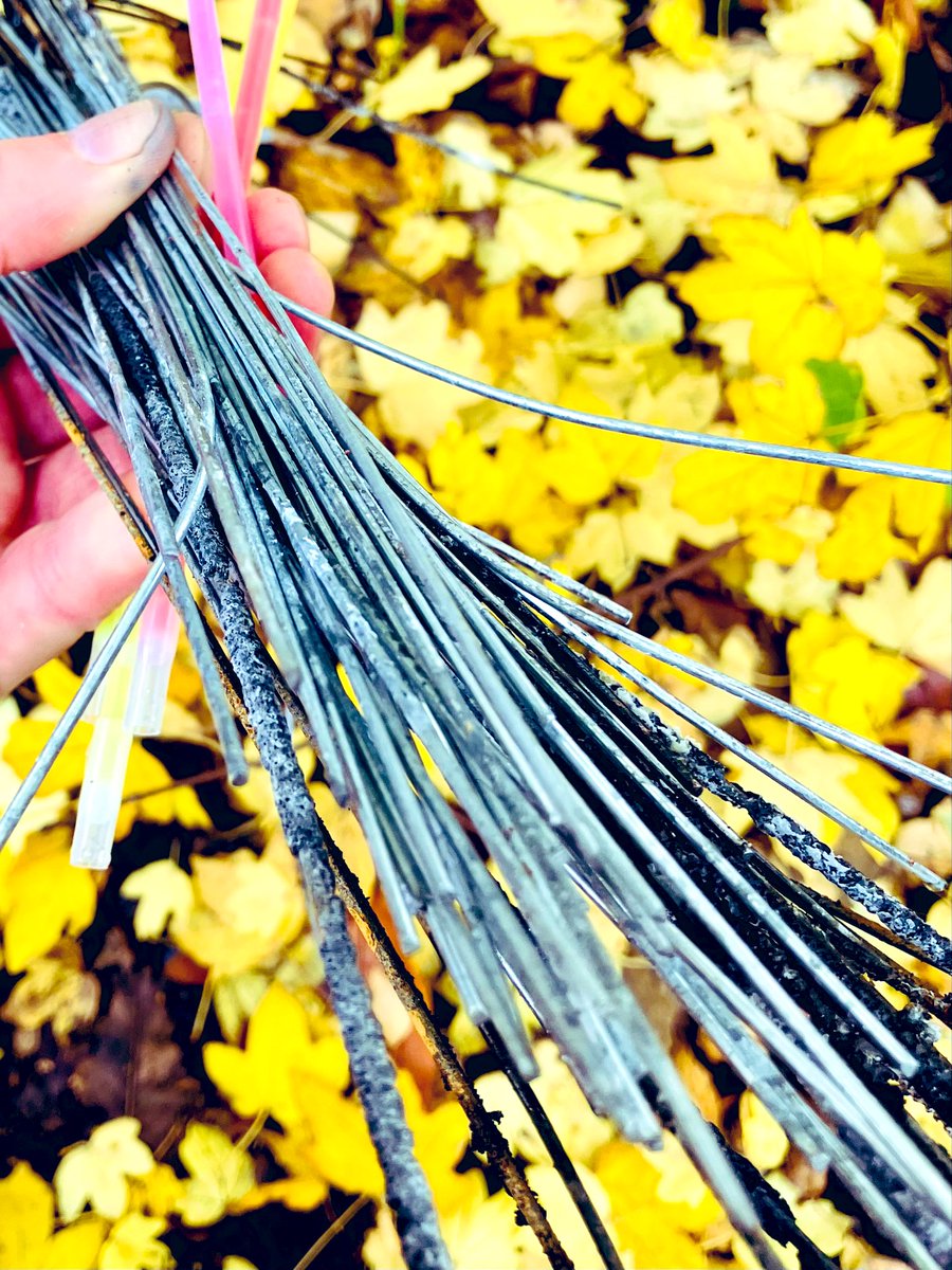 Glimpsei's tweet image. 🎆✨after #fireworks comes the cleanups ✨
#Sparklers remain hazardous when left in the environment.
So… and extra Thanks to the meticulous #litterpickers 🚮
