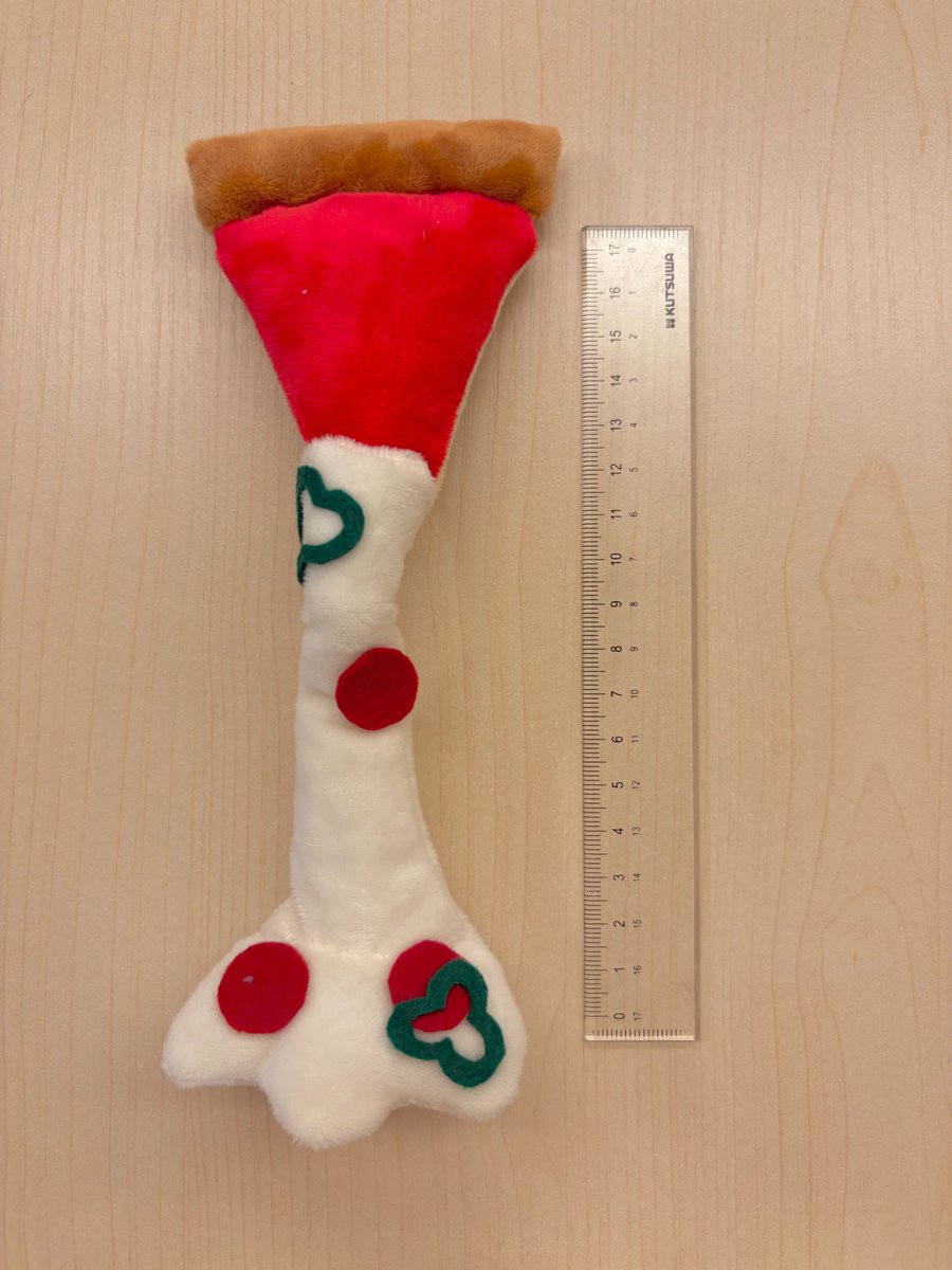 ♔ あこ ♔ あおこ (@aoko00) / Posts / X