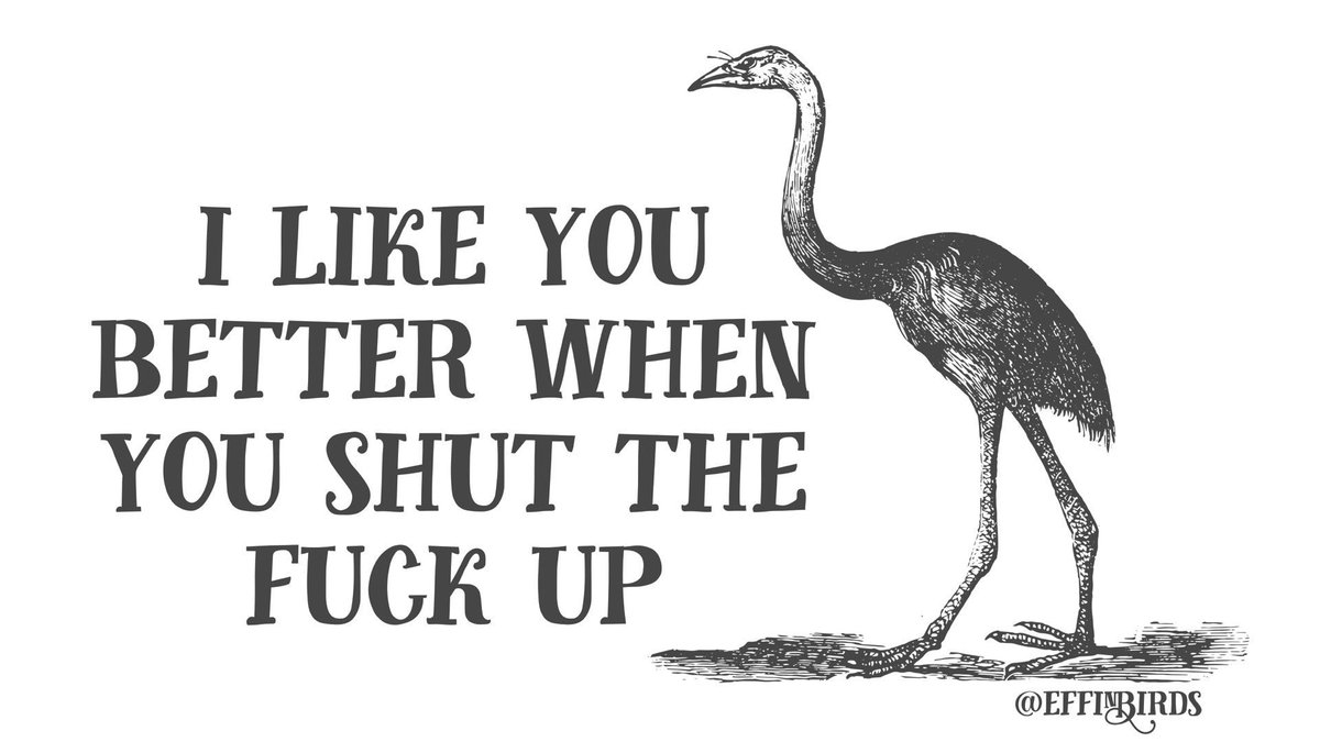 Effin' Birds (@effinbirds) on Twitter photo 