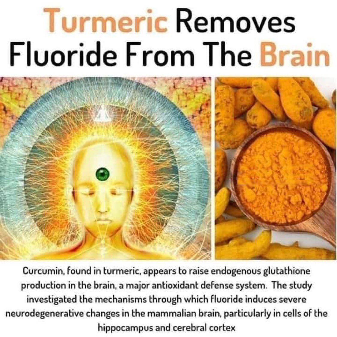 DrSebiSeaMoss's tweet image. Turmeric has several potential benefits, including:

→ 𝗔𝗻𝘁𝗶-𝗜𝗻𝗳𝗹𝗮𝗺𝗺𝗮𝘁𝗼𝗿𝘆 𝗣𝗿𝗼𝗽𝗲𝗿𝘁𝗶𝗲𝘀: Curcumin, the active compound in turmeric, is known for its anti-inflammatory effects, which may help with conditions like arthritis.

→ 𝗔𝗻𝘁𝗶𝗼𝘅𝗶𝗱𝗮𝗻𝘁…