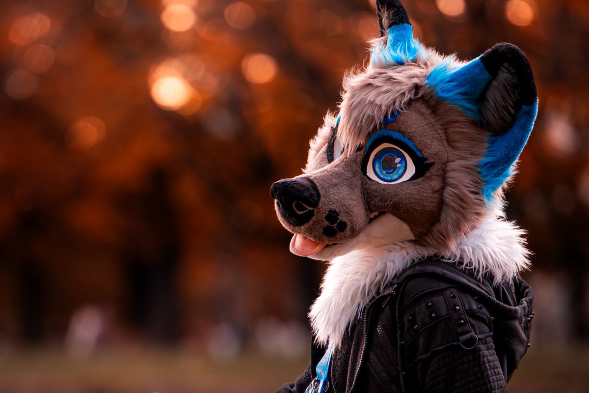 A moment between the color of autumn 🍂🧡

During this #luccacomics I had so much fun (and rain 🤣)! And I met new awesome people. Thank you for this full experience of the comics ✨

🧵: <a href="/StuffedTailsFur/">StuffedTailsFursuits |STF|</a> 
📸: <a href="/Jitsune_fox/">Jitsune.fox</a> 

#furry #furryfandom #fursuit