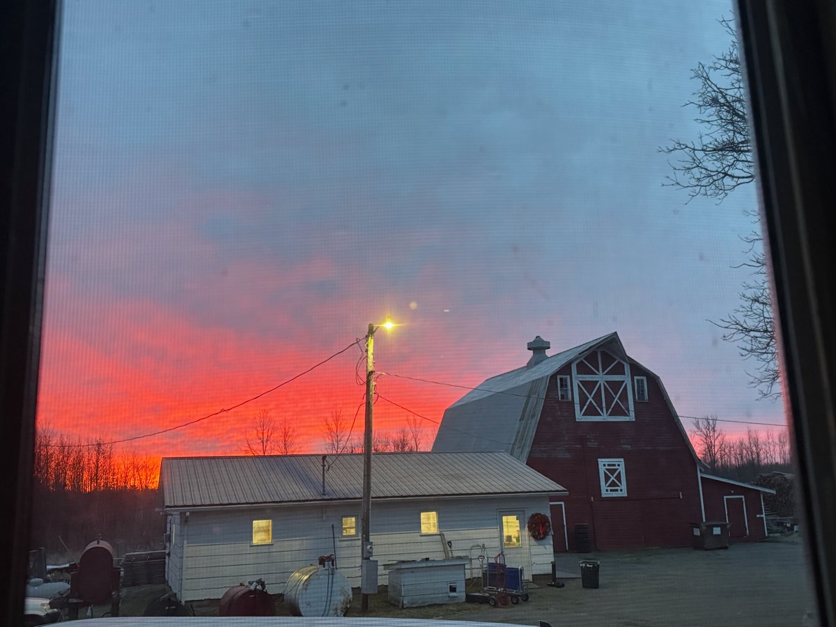 JensWreaths's tweet image. Sunrise over the wreath barn 🌅
Another reminder that God’s creation is the best inspiration. 🌲❤️
#JensWreaths #MinnesotaMade #WreathSeason