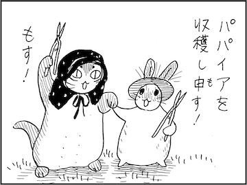 海月 (@kaige2) / Posts / X