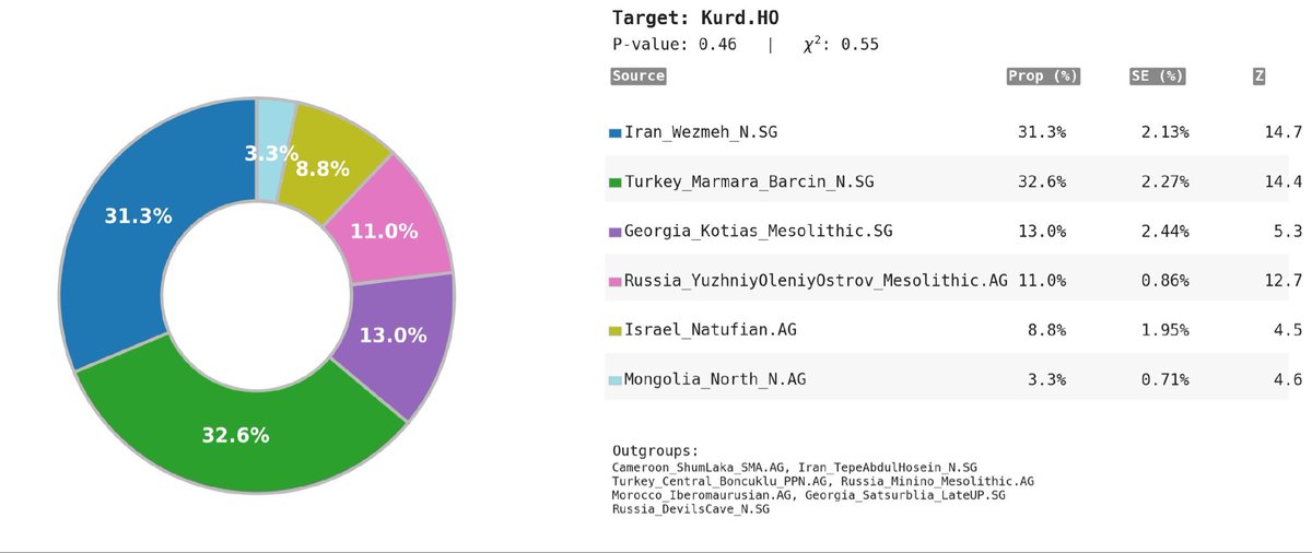 Polat 🗽🏛️ ✹ tweet media