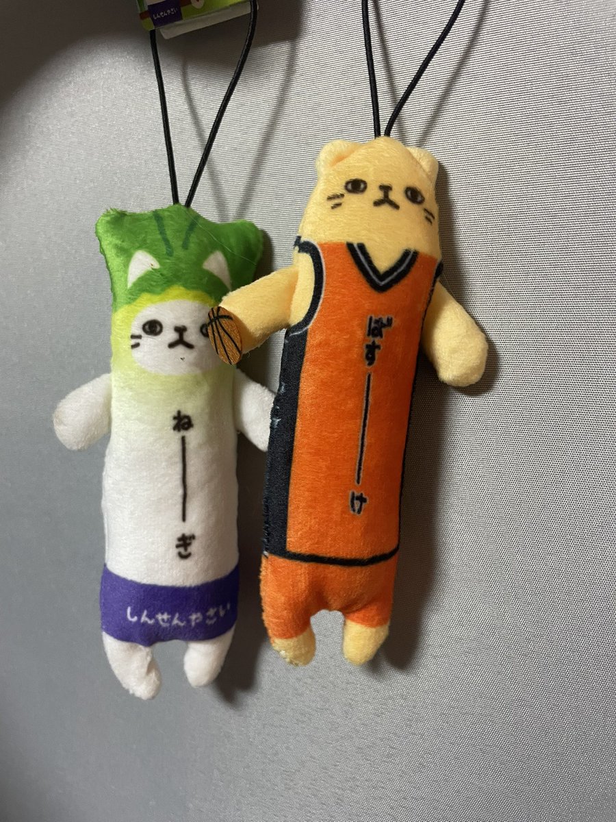 佐野SAよったらあったので例の惜しいヤツげと！
ついでにねぎも笑
#伸ばすトコ違う