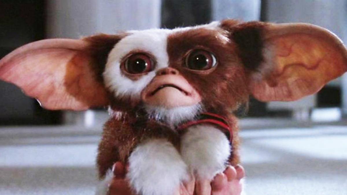 ztnm01's tweet image. Le film « GREMLINS 3 » est officiellement en préparation !

Steven Spielberg sera de retour en tant que producteur exécutif et Chris Columbus sera de retour à la réalisation.

Le film sortira en novembre 2027.

Encore une nouvelle suite de films cultes qui ont marqué une époque……