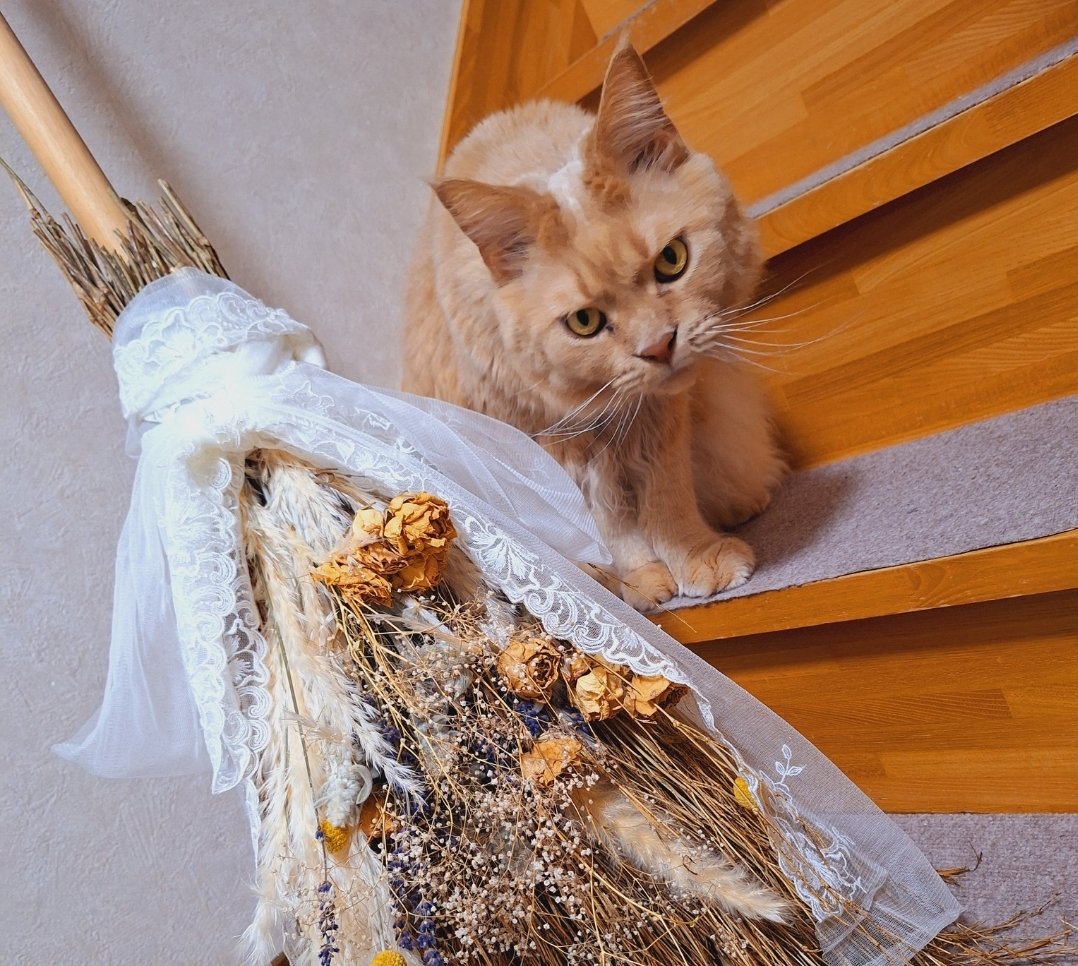 ネコ キャットタワーセット販売】MYZOO-Loop Tower スパイラルキャットタワー