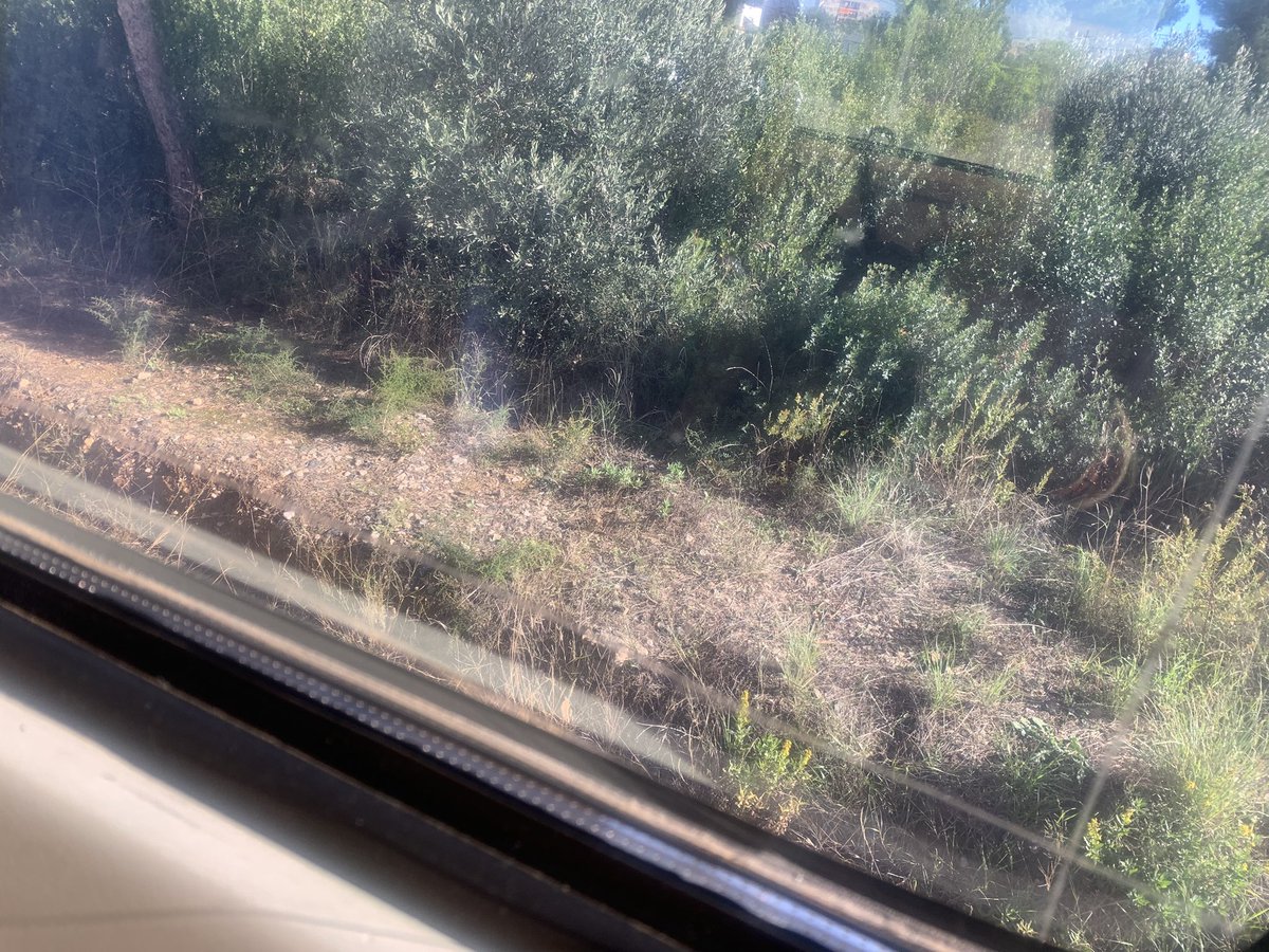 Aturada de cortesia de <a href="/Renfe/">Renfe</a> per poder gaudir tranquil·lament del paissatge mediterrani (en realitat és la tercera aturada, pot ser no cal)