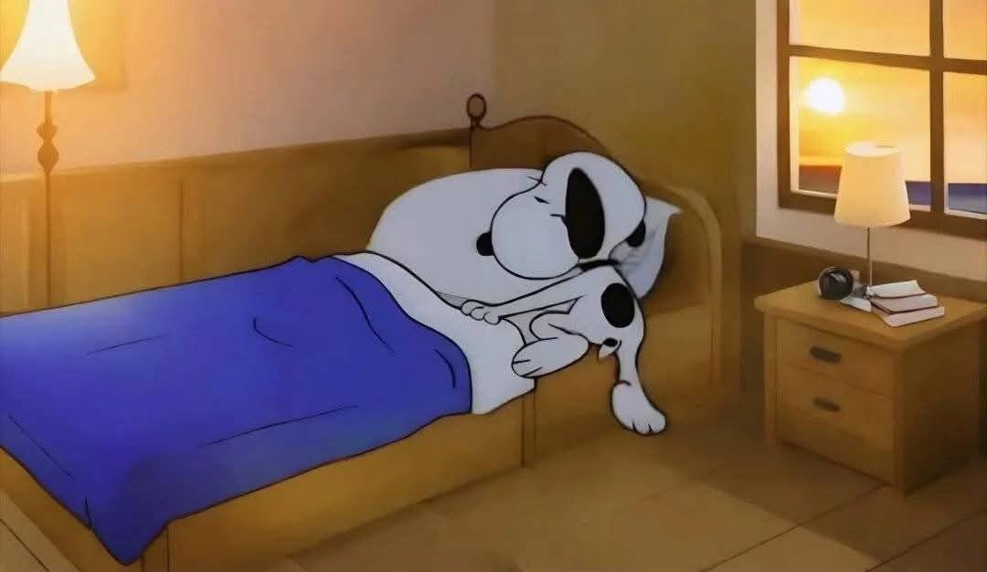 minitadelmate's tweet photo. Yo regresando del baño a dormir porque faltan 5 minutos para que suene la alarma https://t.co/16psBis5hy