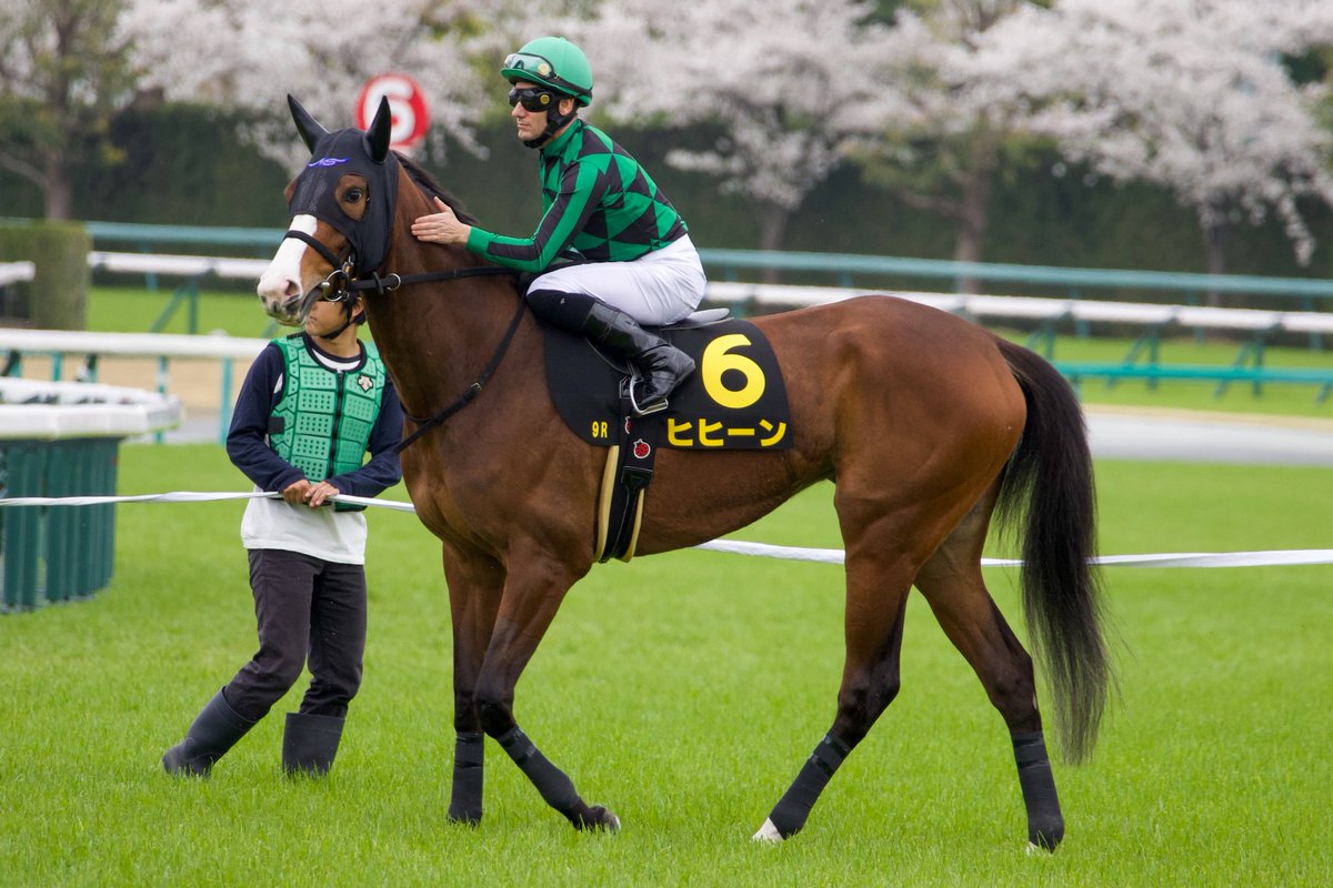 本当に可愛いんです‼️‼️‼️‼️‼️‼️‼️‼️‼️‼️
なんだあのクリクリの目は‼️‼️‼️‼️‼️‼️なんだあのエクレアは‼️‼️‼️‼️‼️‼️‼️なんだあのグラデーションになってる尻尾は‼️‼️‼️‼️‼️
可愛いねヒヒーンちゃん⁉️⁉️⁉️⁉️⁉️⁉️⁉️⁉️⁉️⁉️⁉️⁉️⁉️⁉️⁉️⁉️