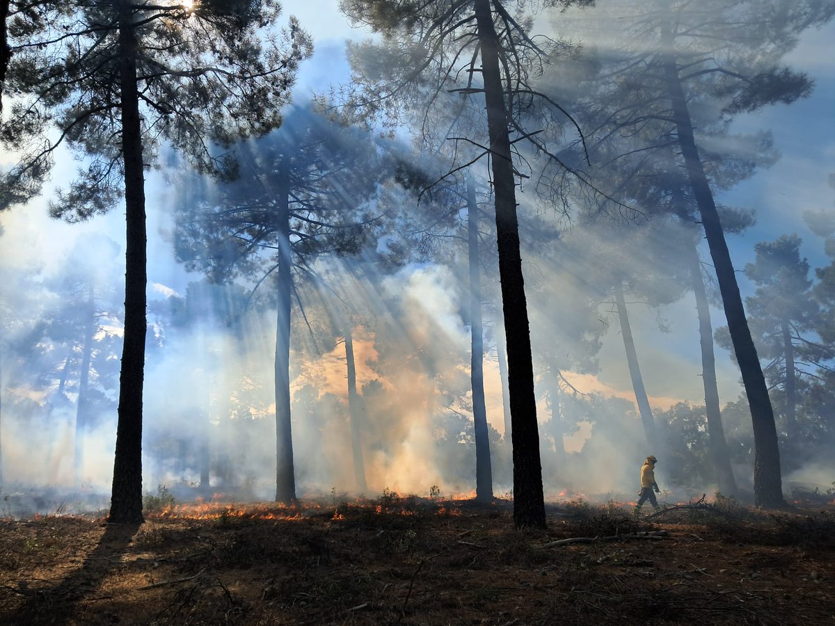 Plan_INFOCAM's tweet image. Esta semana hemos realizado varias jornadas de #quemasprescritas en #CiudadReal por parte de los #BBFF de #INFOCAM de @gobjccm en el término municipal de Viso del Marqués.