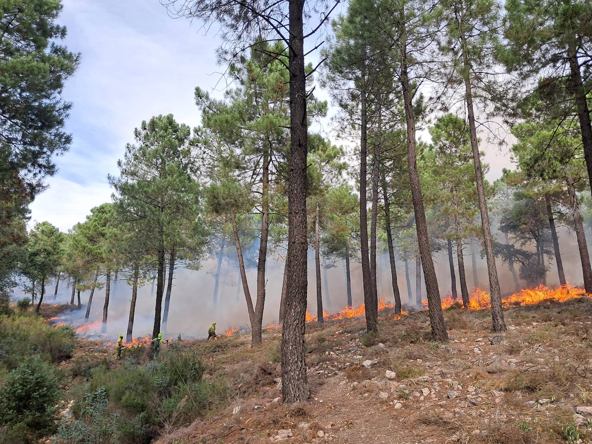 Plan_INFOCAM's tweet image. Esta semana hemos realizado varias jornadas de #quemasprescritas en #CiudadReal por parte de los #BBFF de #INFOCAM de @gobjccm en el término municipal de Viso del Marqués.