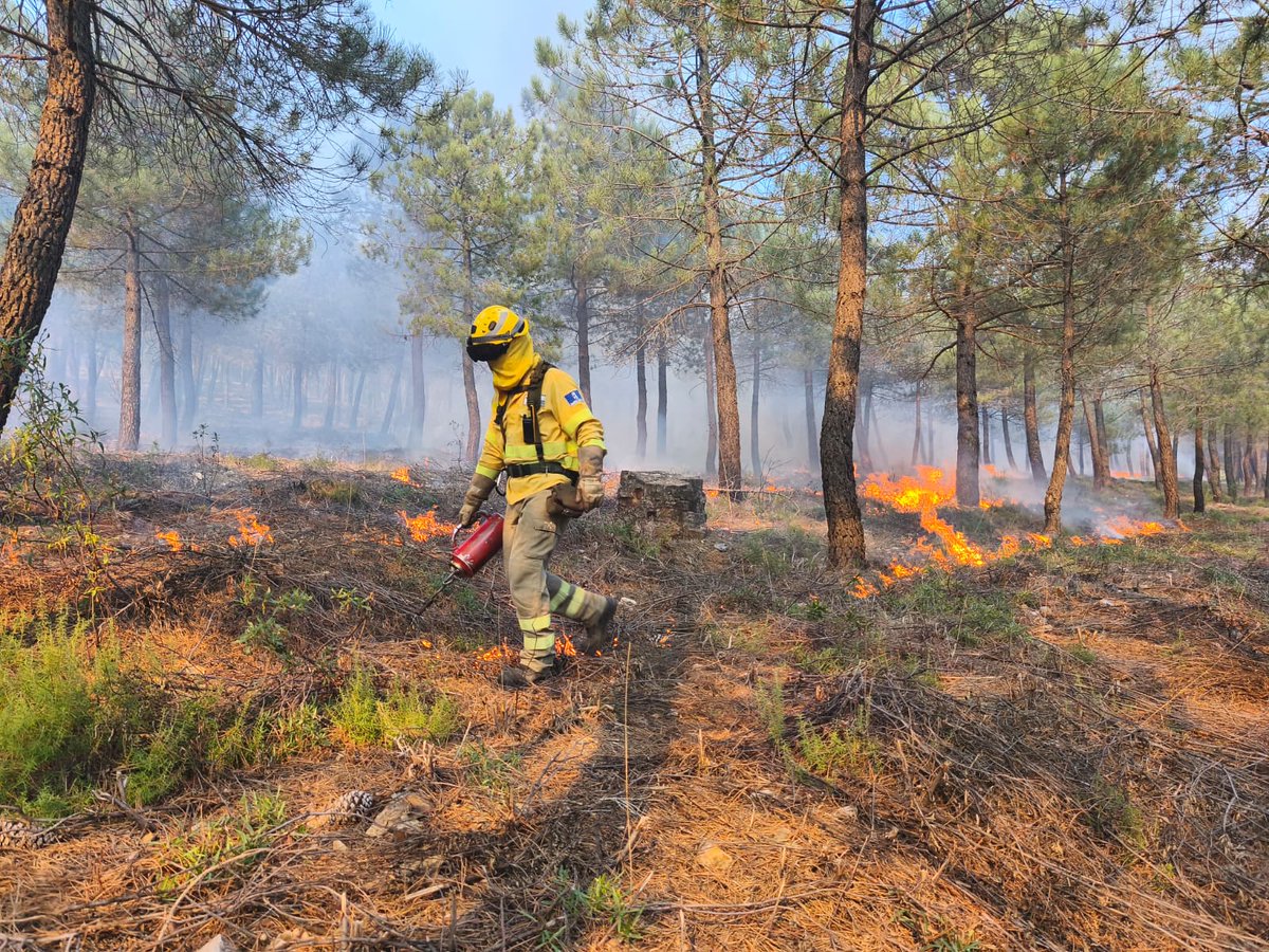 Plan_INFOCAM's tweet image. Esta semana hemos realizado varias jornadas de #quemasprescritas en #CiudadReal por parte de los #BBFF de #INFOCAM de @gobjccm en el término municipal de Viso del Marqués.