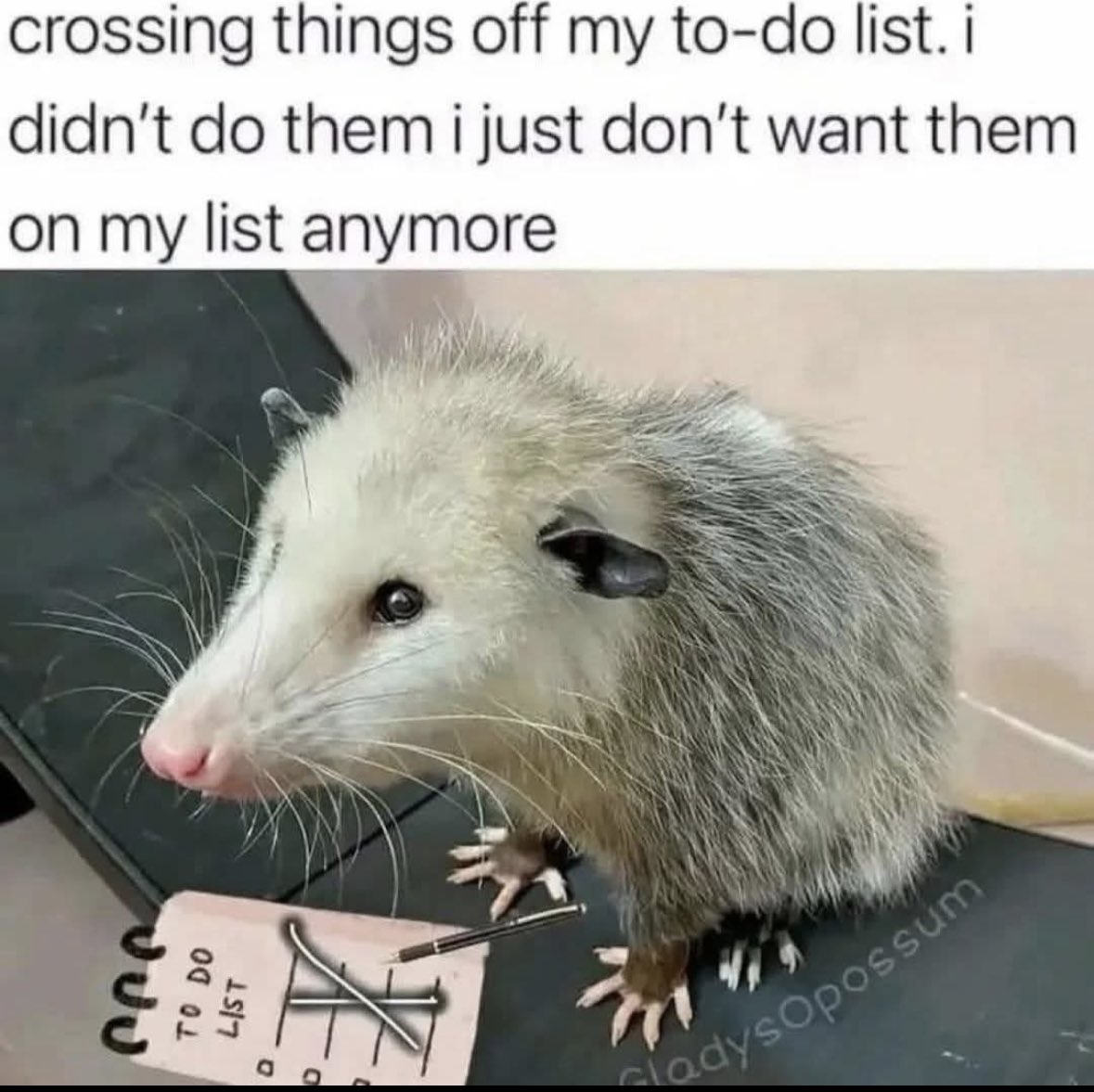 ADHD Memes (@adhdforreal) on Twitter photo 