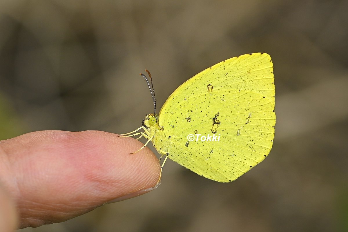 Tokki (@Tokki47199678) / Posts / X