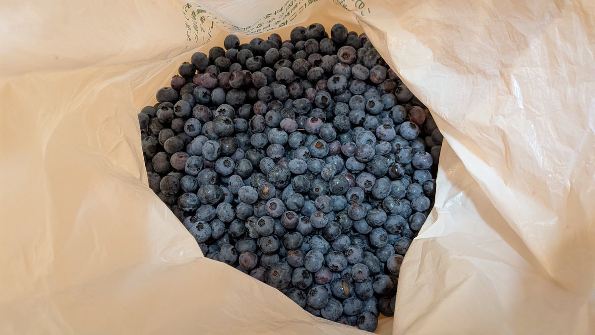 sirozukuri's tweet image. 最近、株クラの中でも家庭菜園に興味がある人が増えているようだ。
とても良いことだと思う。

家庭菜園でのんびり作物を育て、とれたてのおいしい野菜や果物を食べる。
それだけで人間らしい生活と、満ち足りた生活になるものだからだ。…