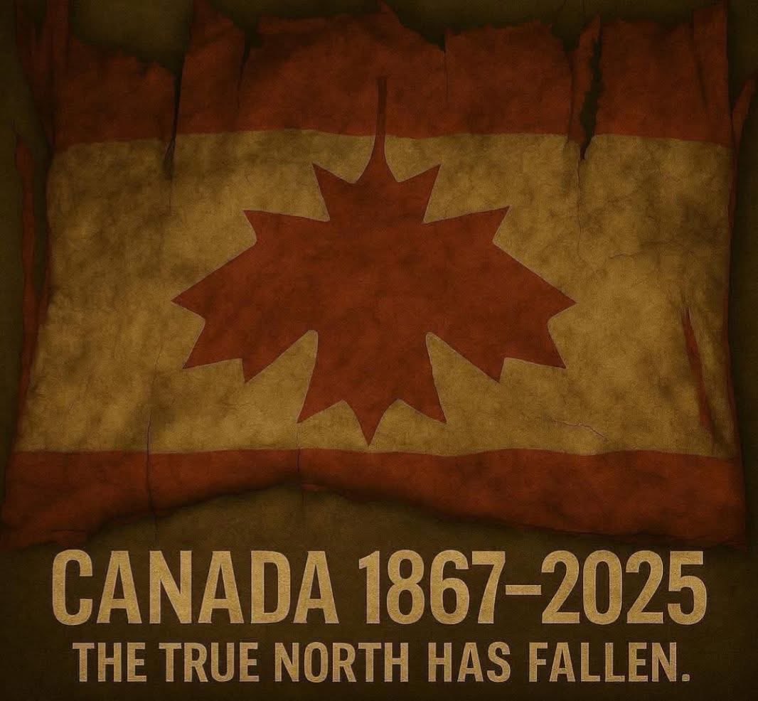 Sassygal (@sassygal1971) on Twitter photo 