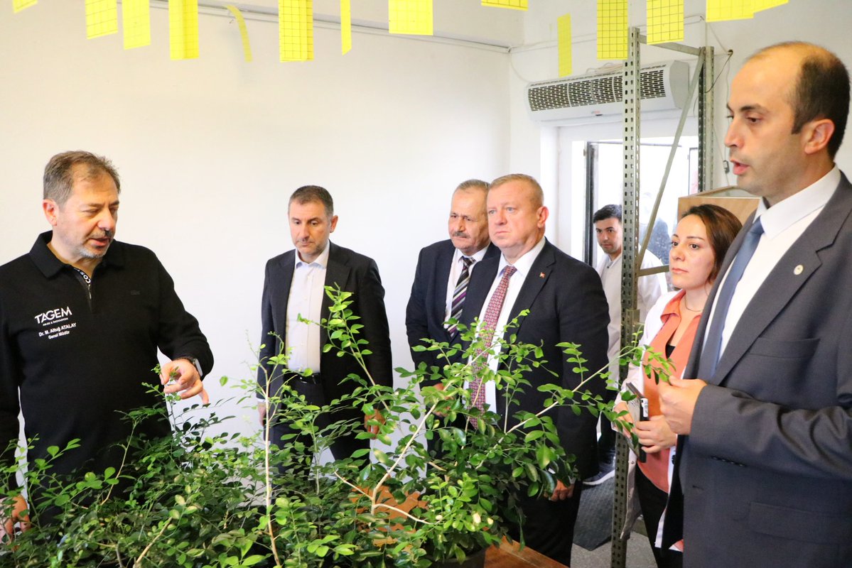 🧪 Genel Müdürümüzden BATEM’e Teknik Ziyaret

Genel Müdürümüz Sayın Dr.M.Altuğ Atalay, Batı Akdeniz Tarımsal Araştırma Enstitüsü Müdürlüğü’nü (BATEM) ziyaret etti.

Ziyaret kapsamında, Enstitü bünyesinde yürütülen biyolojik mücadele çalışmaları hakkında yerinde incelemelerde