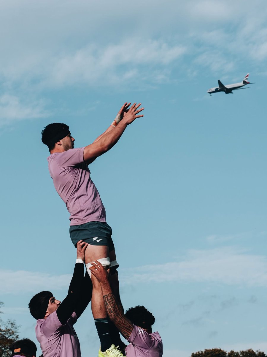 オールブラックス番記者・黒猫 (@rugbykuronekoya) / Posts / X