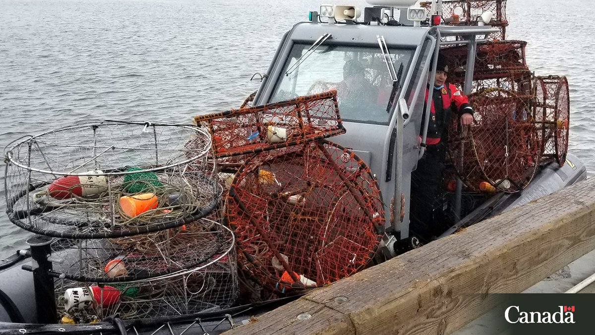 pechesportivecb's tweet image. Les casiers à crevettes et à crabes non marqués sont illégaux et peuvent être retirés de l&apos;eau par un agent de pêche. 

Assurez-vous que votre #piège à mollusques et à crustacés n’entrave pas le canal de navigation.
ow.ly/pfB850Xo0vr