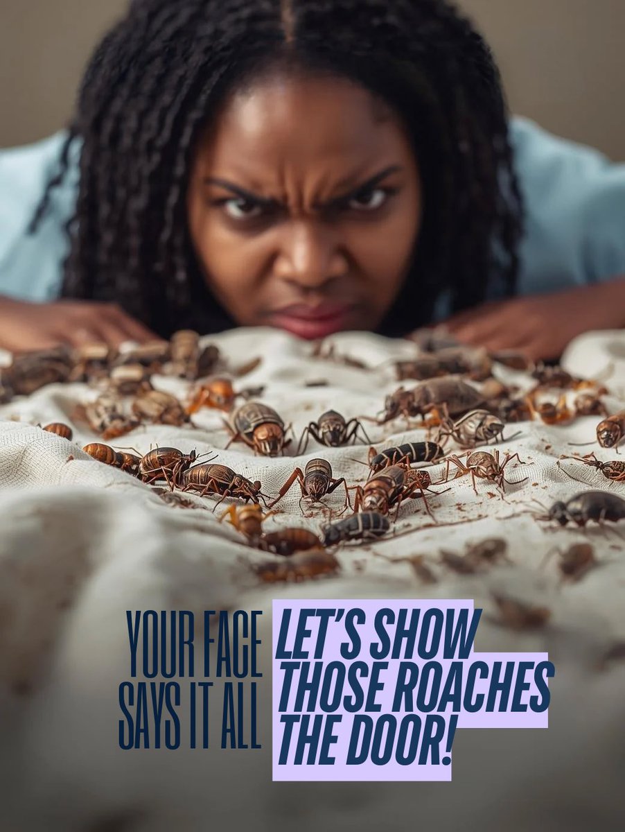 hillview_pest's tweet image. Let’s show those roaches the door! 🚫
Hillview Pest Control provides fast, effective, and lasting pest solutions—because your home deserves to stay clean and comfortable.
#HillviewPestControl #PestControlServices #RoachRemoval #PestFreeLiving #HomeProtection #TrustedProfessionals