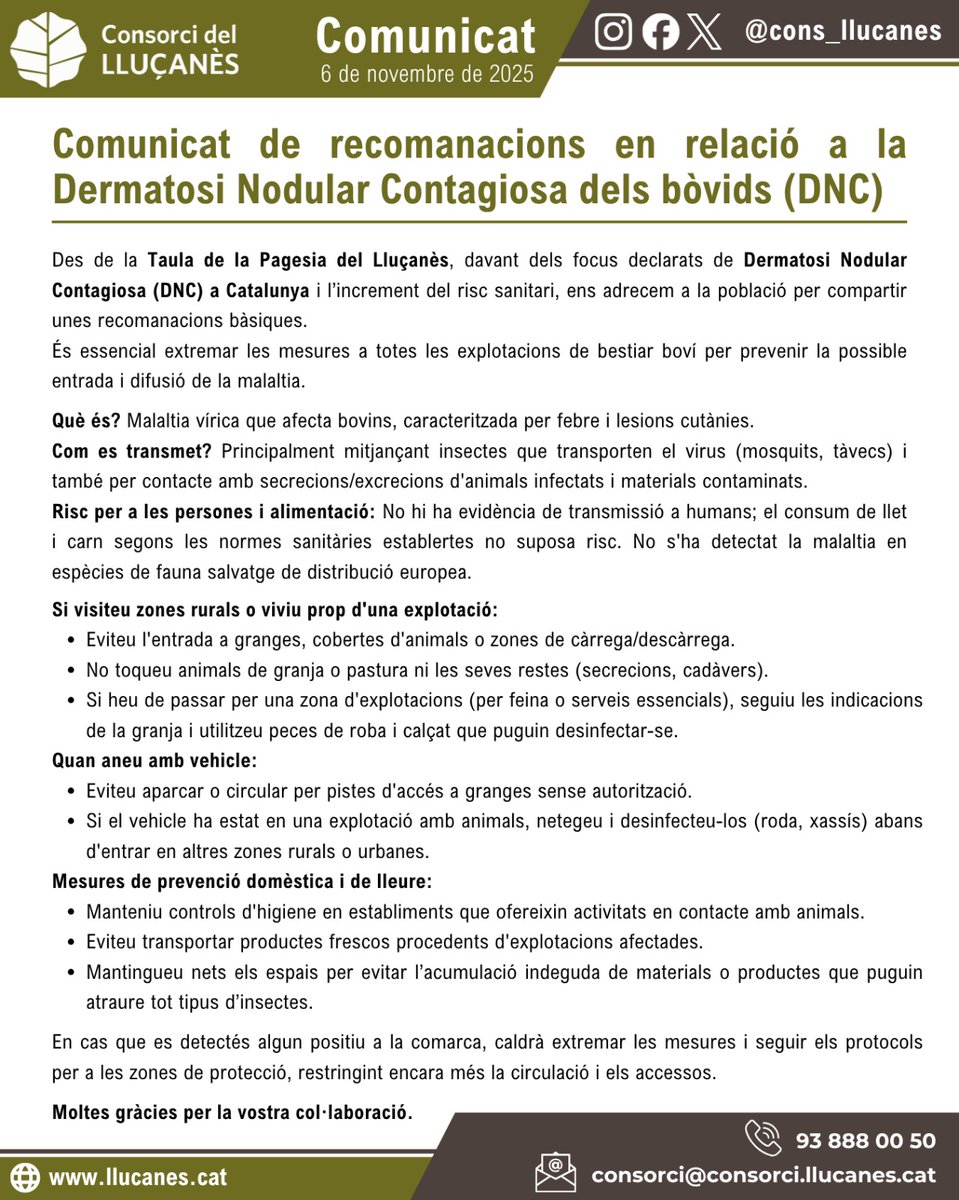📝 Davant els focus declarats de Dermatosi Nodular Contagiosa (DNC) a Catalunya, des de la Taula de la Pagesia del #Lluçanès recorden les recomanacions per prevenir la propagació d’aquesta malaltia que afecta el bestiar boví.

🤝 És essencial extremar les mesures de bioseguretat.