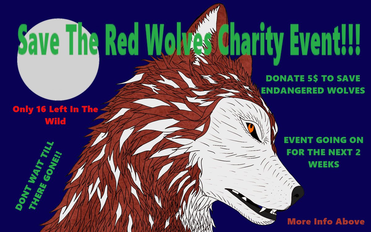 Bad69Habits's tweet photo. https://t.co/vI6epVbz49 - Stream Starting At 4PM EST - FEEL FREE TO DONDATE ANYTIME  This is the Red Wolf
The red wolf is a rare species from north carolina that is endangered so id love to raise awareness of that. There so beautiful
Event : Next 2 Weeks https://t.co/QTkKuad8Yg