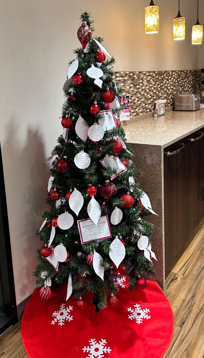 Join the fun with our Giving Tree Program! 🎄 We love that this program brings joy to your customers while making a profound impact on new mothers in crisis.
November 24, 2025 – December 15, 2025. Email us directly at glamorousmoms.fdn@gmail.com to get started!
#givingtreeprogram