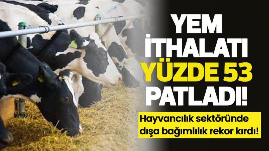 Alarm zili çalıyor:
 Yem ithalatında rekor patlama!

TÜİK verileri, hayvancılık sektöründeki dışa bağımlılığı gözler önüne serdi.

Eylül 2025'te, hayvan yemi hammaddeleri (soya küspesi, artıklar vb.) ithalatı 250 milyon doları aşarak geçen yılın aynı ayına göre tam yüzde 53,3