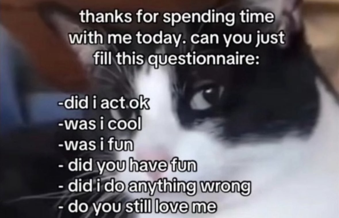 LiterallyMeCats (@literallymecats) on Twitter photo 