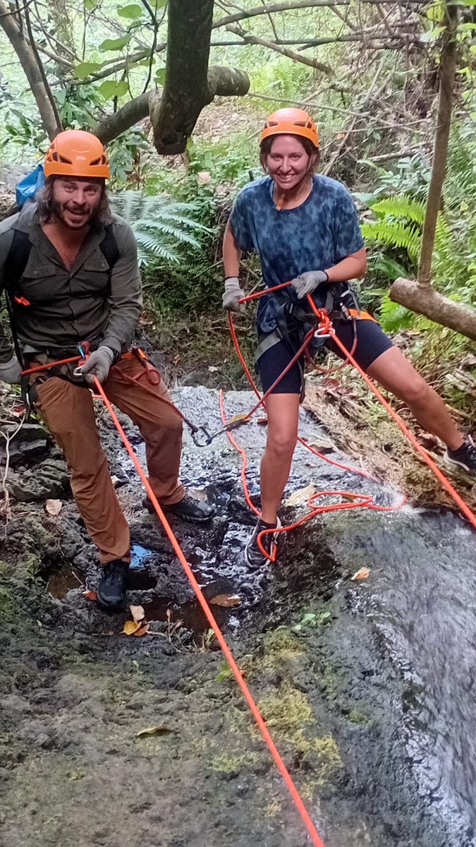 Drew Fish Band tweet media