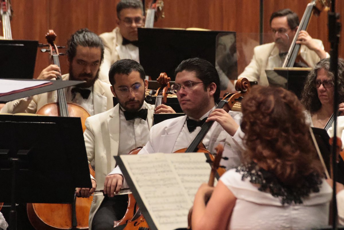 PalaciodeBellasArtes tweet media