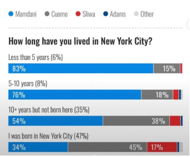 Cavalo de Terno tweet media