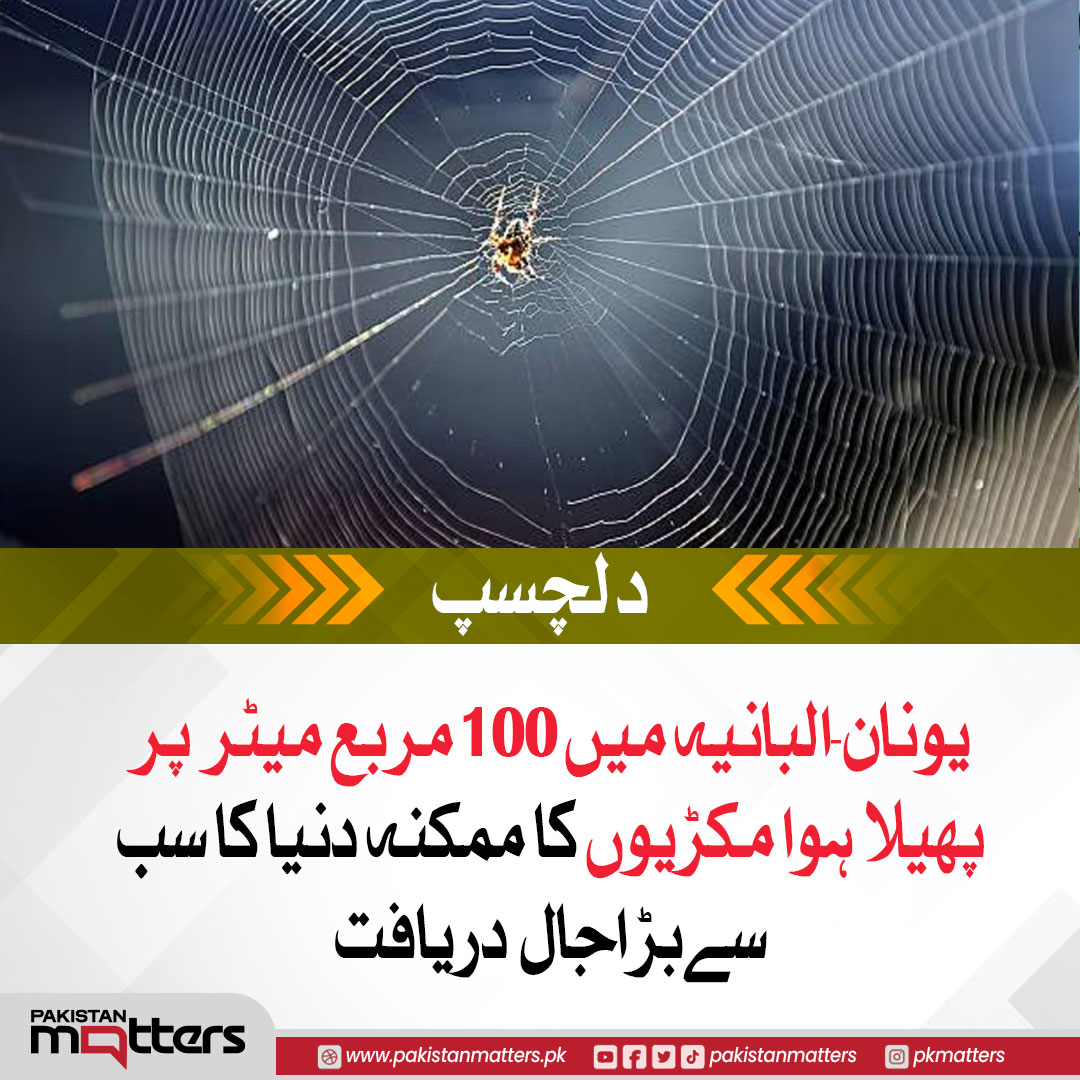 PK_Matters's tweet image. ونان-البانیہ میں 100 مربع میٹر  پر پھیلا ہوا مکڑیوں کا ممکنہ دنیا کا سب سےبڑاجال  دریافت

#SpiderWeb #WorldsLargestSpiderWeb #Albania #NatureDiscovery #pakistanmatters